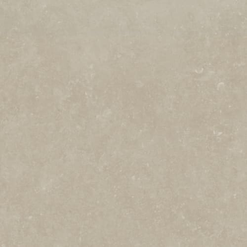 Bluerun by Florida Tile - Historic Greige-24X36