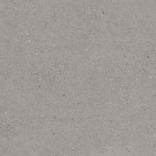 Canal Street by Florida Tile - French Gray-24X48