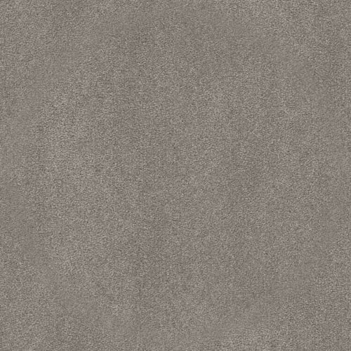 Taupe Stone