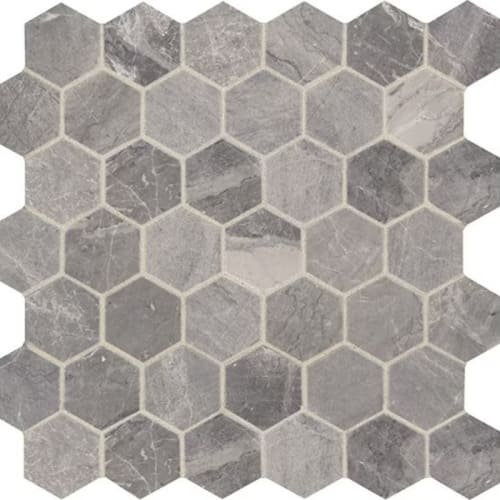 Meta Silver-Hexagon