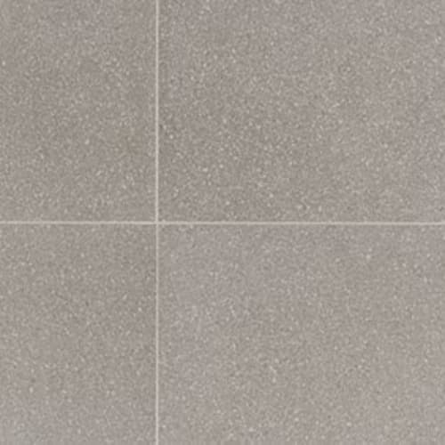 Light Gray-12X24-Light Polished