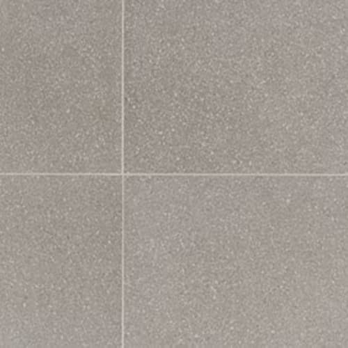 Neospeck by American Olean - Light Gray-24X24-Matte