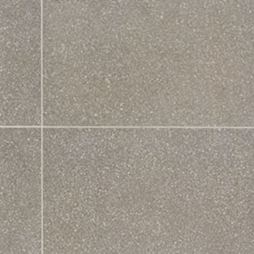 Medium Gray-12X24-Light Polished