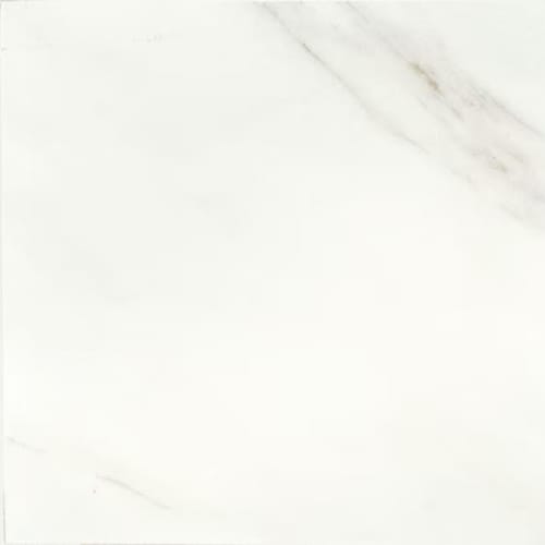 Bianco Carrara-12X24x.3125