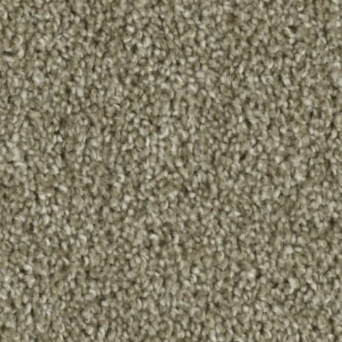 Microban® Polyester - Tempt by Phenix Carpet - Intrigue