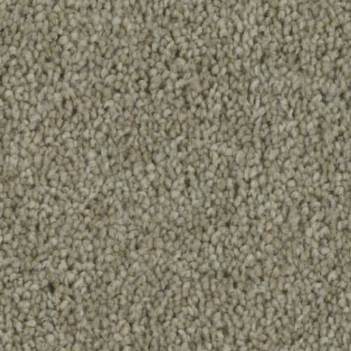 Microban® Polyester - Tempt by Phenix Carpet - Compel