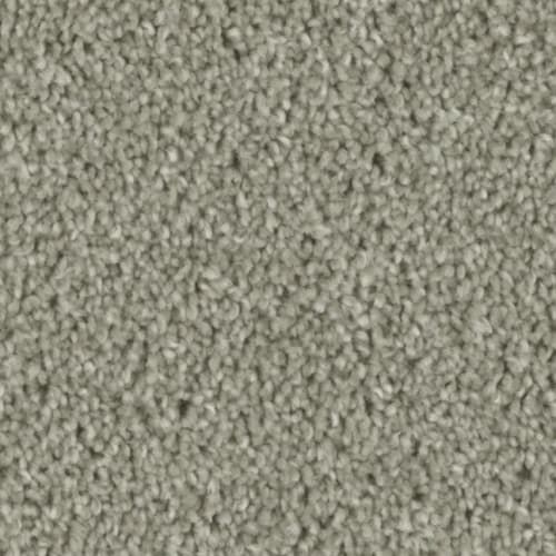 Microban® Polyester - Tempt by Phenix Carpet - Court