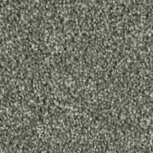 Microban® Polyester - Tempt by Phenix Carpet - Engage