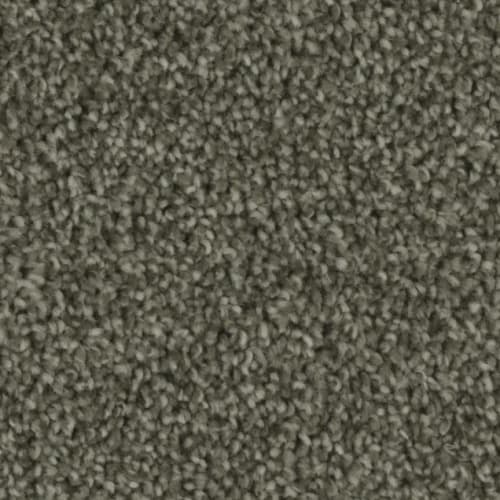 Microban® Polyester - Tempt by Phenix Carpet - The Jazz