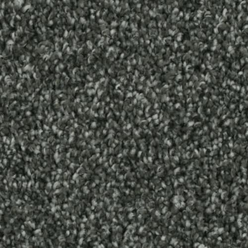 Microban® Polyester - Tempt by Phenix Carpet - Charm