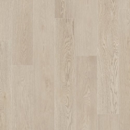 Coretec Scratchless by Coretec - Charter Oak