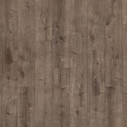 Oyster Oak