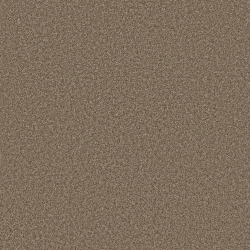 Affirmation I by Shaw Industries - Spanish Brown