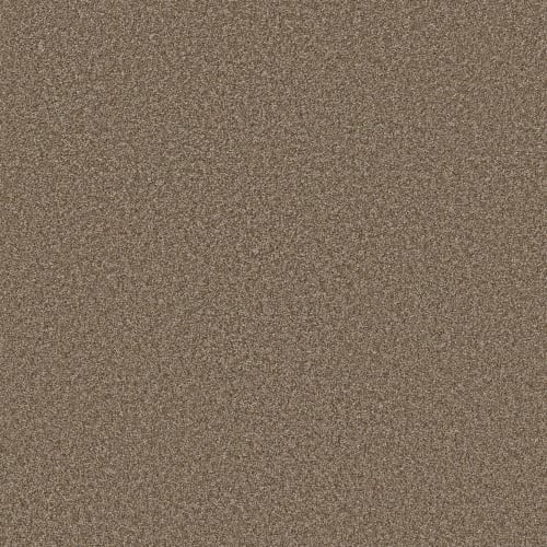 Affirmation II by Shaw Industries Affirmation II by Shaw Industries