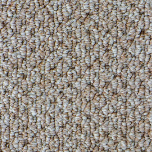 Carpet Collection by Garvey's Exclusive - Sw103-01