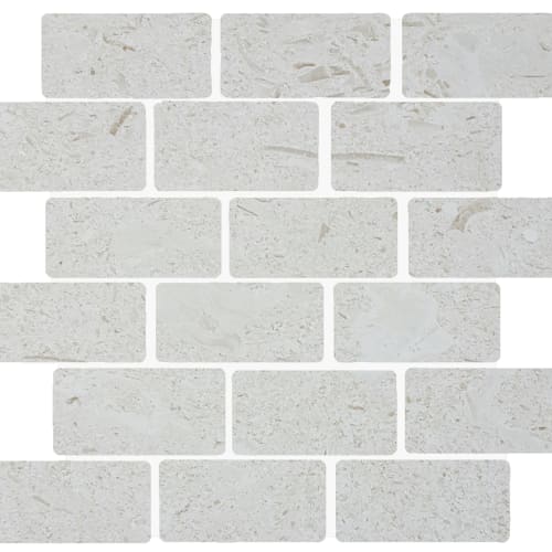 Shell Stone Staggered Mosaic