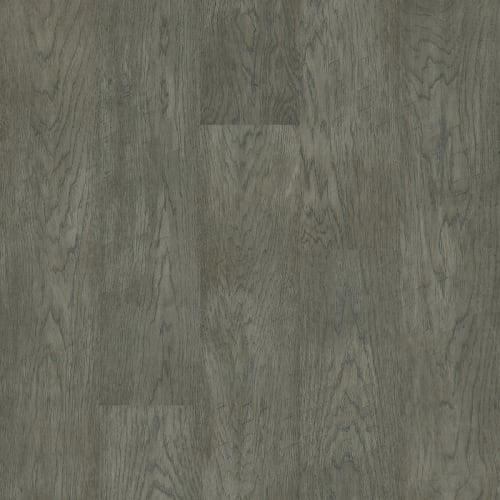 Euro Grey