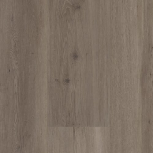 Lester Plank (Coretec) by Premiere Performance Flooring - Crisfield Oak