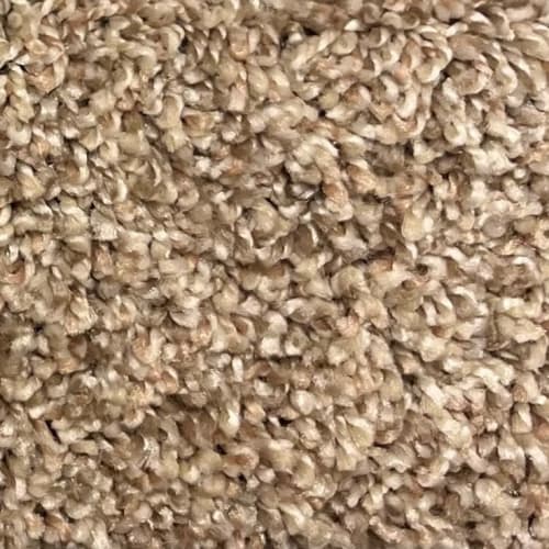 Intense Subtle Clay by Artistry Carpet - the Greater Philadelphia area ...