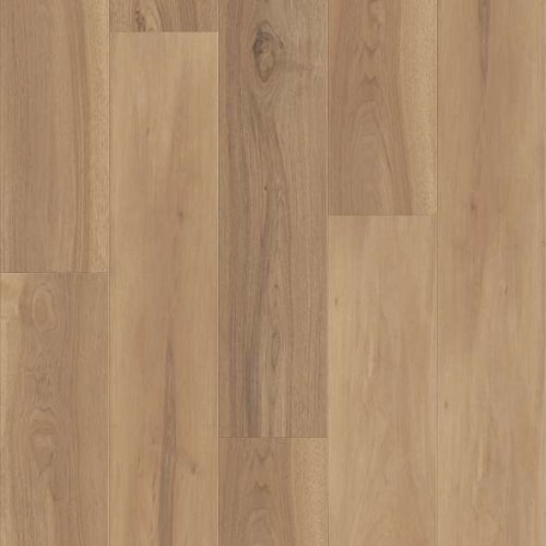 Fresh Take by Shaw Floors