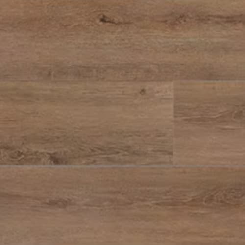 Proseries - Bellamy Place by Dal-Tile - Barrel