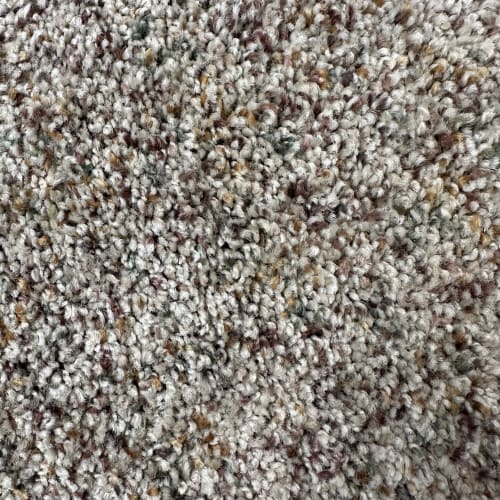 Carpet Collection by Garvey's Exclusive - Bird Seed