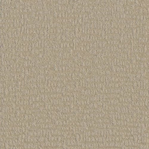 Floorever™ - Sonder by Phenix Carpet - Intuition