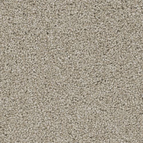 Floorever™ - Bravo by Phenix Carpet - Character