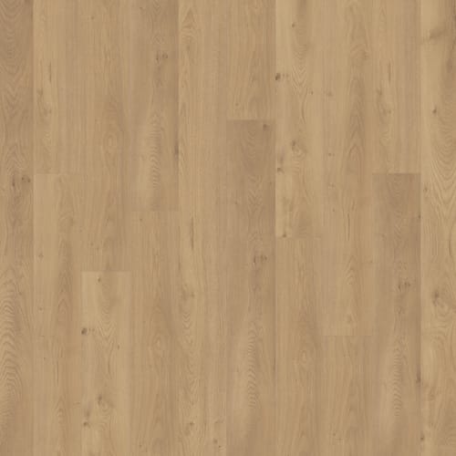 Freedom by Chesapeake Flooring - Grassland