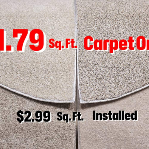 $1.79 Price Bucket by Spring Carpets Stock - A - Color Group