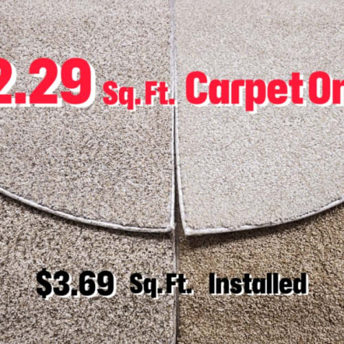 $2.29 Price Bucket by Spring Carpets Stock - A - Color Group