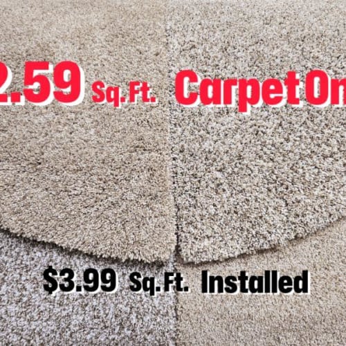 $2.59 Price Bucket by Spring Carpets Stock