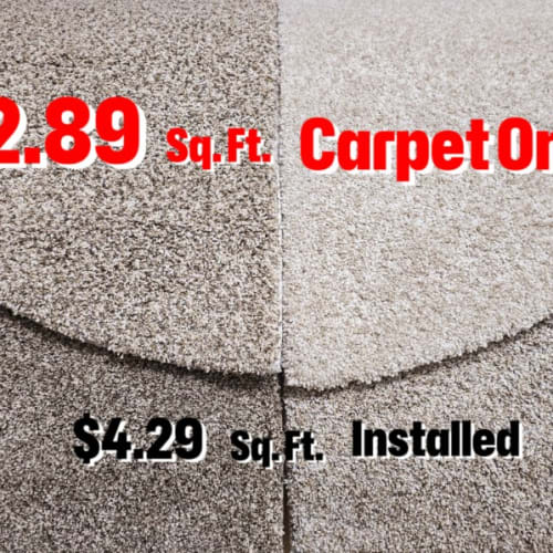 $2.89 Price Bucket by Spring Carpets Stock - B - Color Group