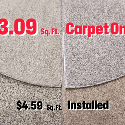 $3.09 Price Bucket by Spring Carpets Stock - A - Color Group