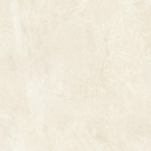 Snow 24X48