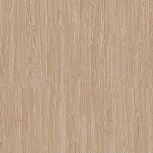 Plaster 2320