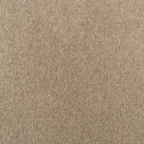 Dried Wheat