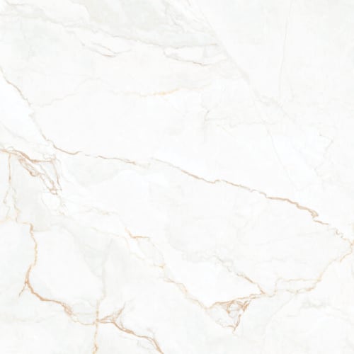 Blend/Polished _ 24 X 24