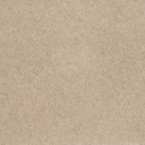 Champagne Beige