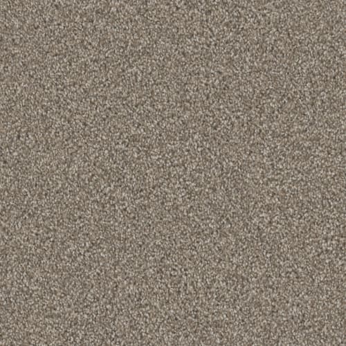 Admiration by DH Floors - Mocha