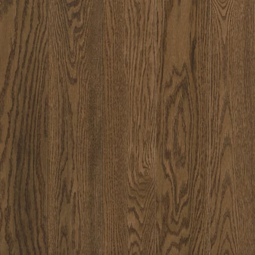 Forest Brown 3.25" - High Gloss