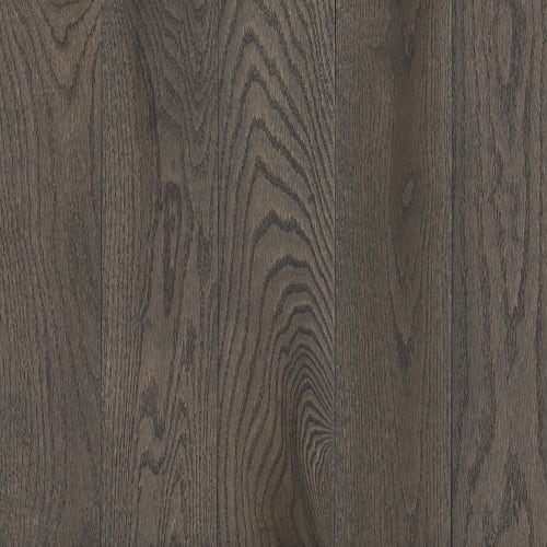 Oceanside Gray 5" - High Gloss