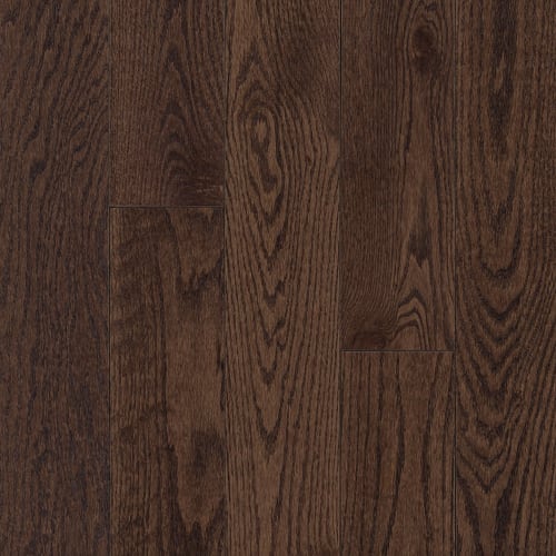 Cocoa Bean 3.25" - High Gloss