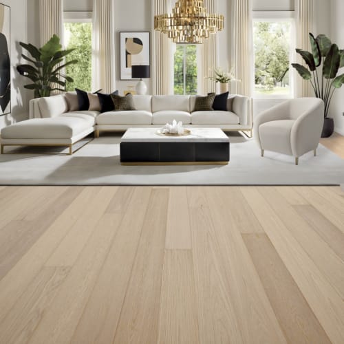 Modern Living Collection by Nuvelle - Hamptons
