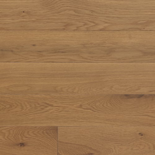 Chamomille 2.25"