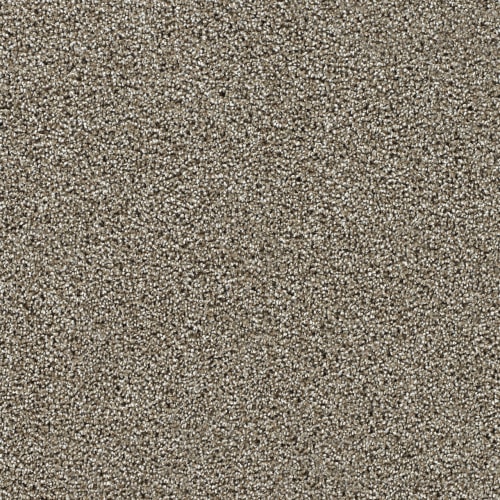 Rich Walnut