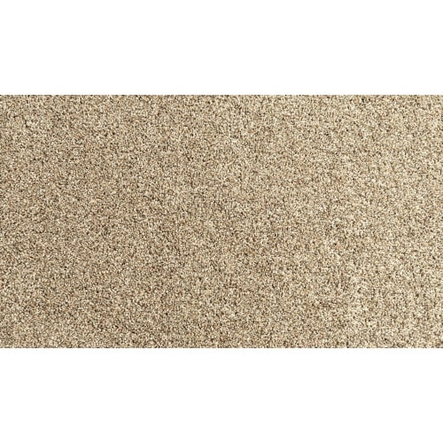Flax Seed