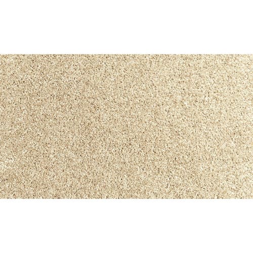 Coastal Sands