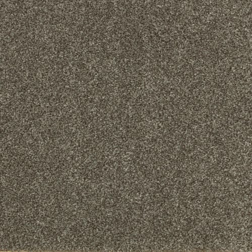 Walnut Frost