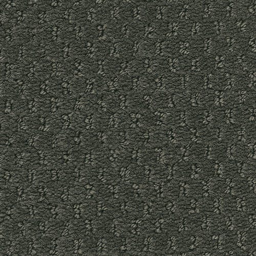 Rich Titanium